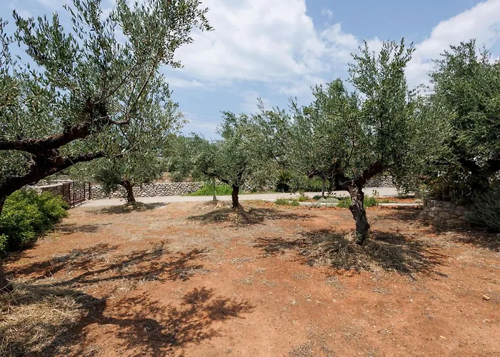 Spiti-eleonas Σπίτι διακοπών *